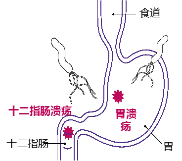 640 (4).png